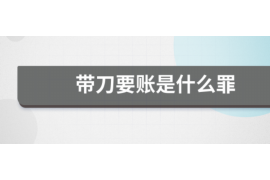 陆丰为什么选择专业追讨公司来处理您的债务纠纷？